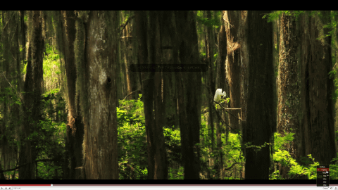 [YouTube  4K2K ӥǥ @ WQHD (25601440)]