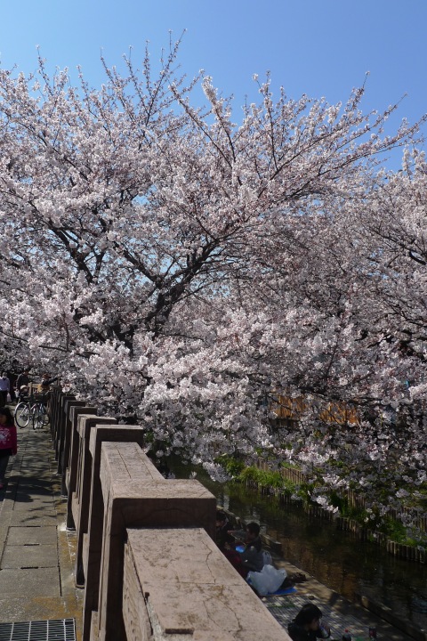 [���κ� 2012 (1)]