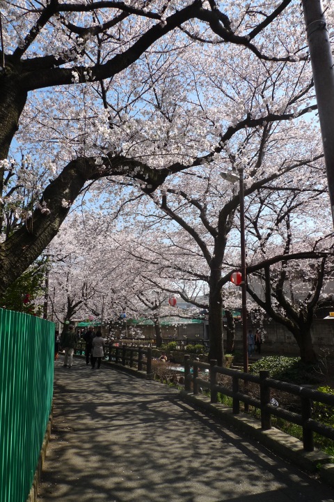 [���κ� 2012 (1)]