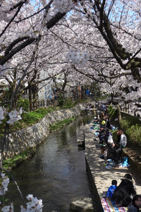 [���κ� 2012 (1)]