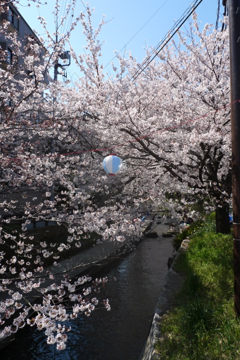 [���κ� 2012 (1)]