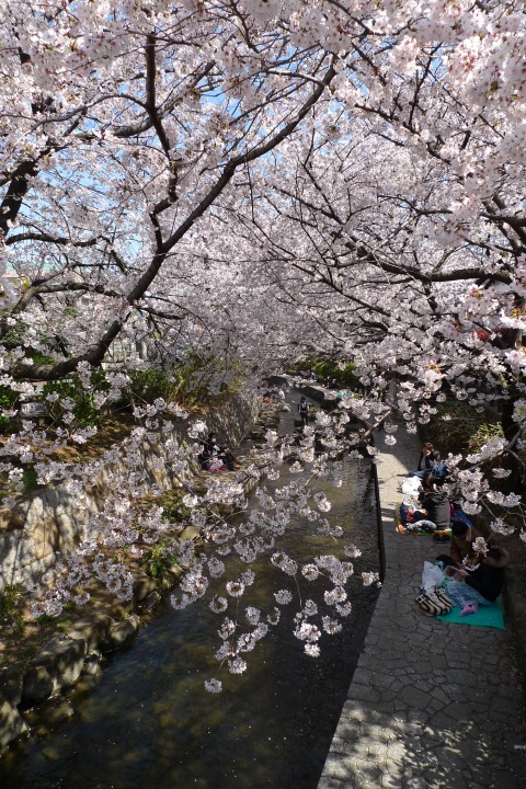 [���κ� 2012 (1)]