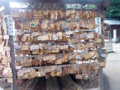 [2,5921,944 ɥåȡ1,796K Х]