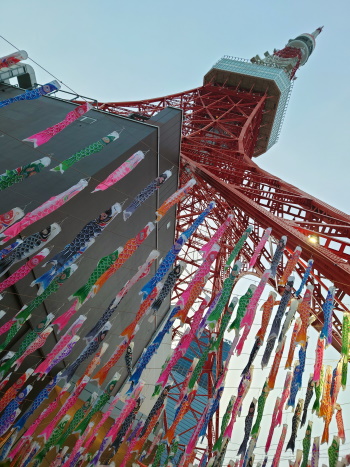 [������ �ϥ��ܡ��륬���ǥ� 2022 (1)]